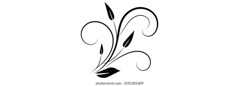 Flourishes vintage. Ornamental borders and dividers, filigree ornament swirls. Victorian decoration elements .