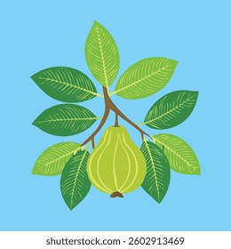 A flourishing guava plant, its vibrant green leaves and budding fruits promise a fresh harvest