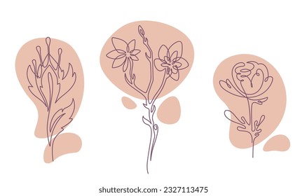 Flourishing leaves and flowers, isolated vegetation and blossom of plants. Wildflowers with stems and branches decoration. Logotype or emblem, logo or promotional banner. Vector in flat style