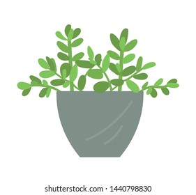 Flourishing plant in vase vector, isolated decor in container, foliage on branches, leafy flower, natural ecological decor for home and interior flat style