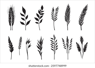 Flourishing Wheat Ears Vector Pack