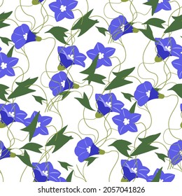 Flourishing wildflowers with large petals and stems, leaves and foliage. Botanic ornaments of blooming plant, spring and summer revival. Seamless pattern or background, print or wallpaper, vector