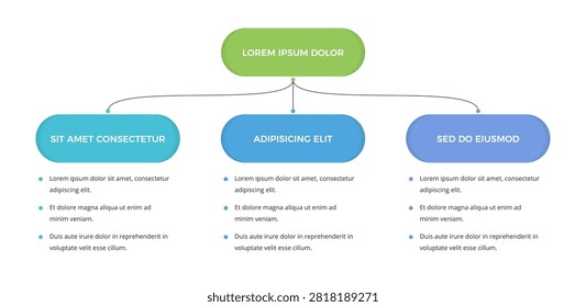 Flow chart infographic template with three connected branches and rounded sections, ideal for business presentations, workflows, structures and process visualization
