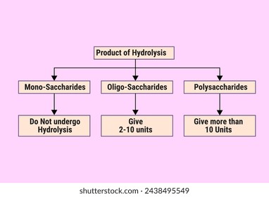 Flow chart of Product of Hydrolysis