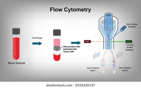 Flow Cytometry - a rapid multi-parametric analysis of single cells in solution