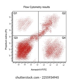 Los resultados de la citometría de flujo de la separación de células de apoptosis en cada etapa que se cepilla con la cepa de propidium yodine (IP) y anexiónV-FITC, y el resultado representa el Q1-4 en el diagrama