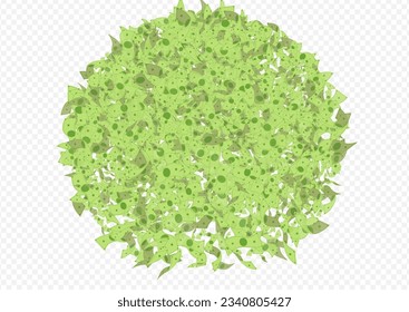 Flow Dollar Vector Transparent Background. Scatter Currency Poster. Flow Paper Confetti Certificate. Monetary Jackpot Casino Card.