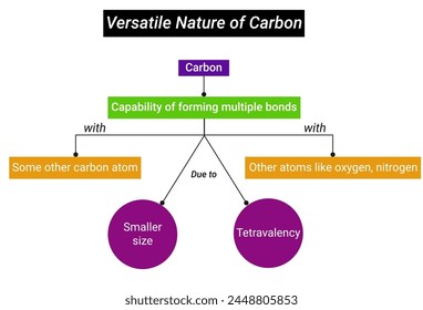 Diagrama de flujo para la naturaleza versátil del carbono