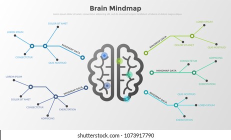 Flowchart or workflow diagram with brain in center connected to text boxes by coloful lines. Concept of mind map or scheme. Modern infographic design template. Vector illustration for presentation.