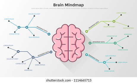 Flowchart or workflow diagram with brain in center connected to text boxes by coloful lines. Concept of mind map or scheme. Modern infographic design template. Vector illustration for presentation.