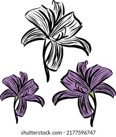 flower 2 illustration purple color vector brush stroke