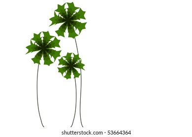 flower