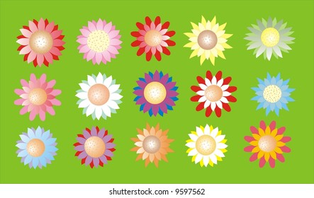 flower