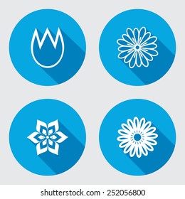 Flower 4 icons set. Chamomile, tulip, daisy, orchid. Floral symbol. Round blue flat icon with long shadow. Vector