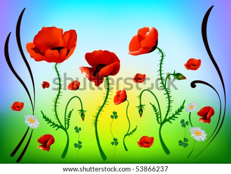 Similar – Image, Stock Photo Clapping poppies backlit under sunny sky