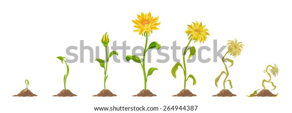 75,206 Flower Died Images, Stock Photos & Vectors | Shutterstock