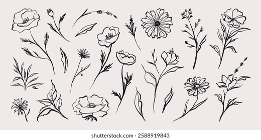 Flower abstract hand drawn brush ink or chalk stroke. Floral sketch doodle elements, simple blossom grunge outlines. Vector minimalistic blossom symbols set.