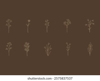 Flower Aesthetic Drawing Element Set