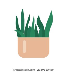 flower of aloe  in a beige pot vector illustration
