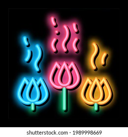 flower aromatic odor neon light sign vector. Glowing bright icon flower aromatic odor sign. transparent symbol illustration