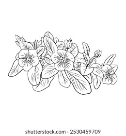 Flower arrangement of catharanthus with leaves hand drawn in sketch style. Periwinkle flower. Vector illustration