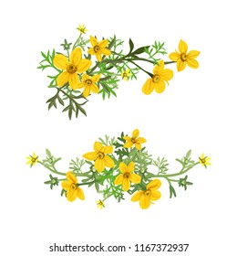 Blumenanordnung von Blumen Bidens, Vektorgrafik.