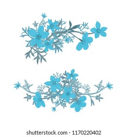 Flower arrangement of flowers Bidens, vector illustration.