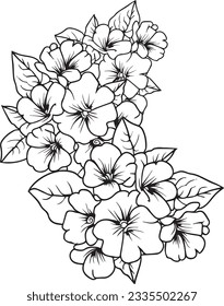 Flower arrangement line art collection, Advanced Flower Coloring Page, primrose flower tattoo designs, delicate primrose tattoo, Primula Francisca flower coloring page, evening primrose line drawings