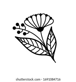 FLOWER ARRANGEMENT ON A WHITE BACKGROUND IN VECTOR