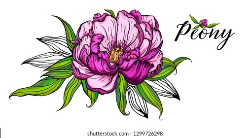 flower arrangement with peony flowers and leaves