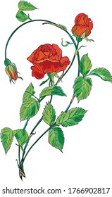 Flower arrangement with red rose flowers. Red Rose.