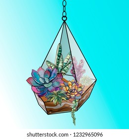 Flower arrangement of succulents in a geometric glass aquarium. Vector.