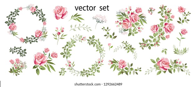 Flower arrangements of pink roses, colorful leaves, wild herbs. Set: roses, bouquets, twigs, wreaths, floral elements. Vector illustration.