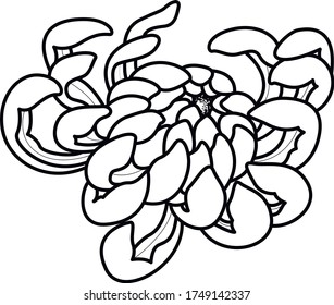 diseño de vectores en blanco y negro de arte floral 