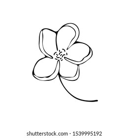 Flower art line. Sakura or Apple blossoms in vector isolated on white background. Spring flowers drawn in black and white line. Icon or symbol of spring and flowers.Doodle outline. Sketch.