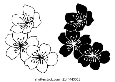 Flower art line. Sakura or Apple blossoms in vector isolated on white background. Spring flowers drawn in black and white line. Icon or symbol of spring and flowers.Doodle outline. Sketch.