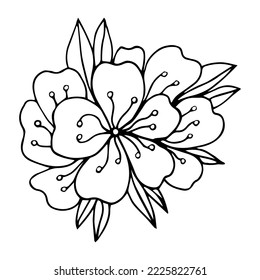 Flower art line. Sakura or Apple blossoms in vector isolated on white background. Spring flowers drawn in black and white line. Icon or symbol of spring and flowers.Doodle outline. Sketch.