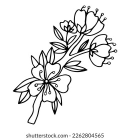 Flower art line. Sakura or Apple blossoms in vector isolated on white background. Spring flowers drawn in black and white line. Icon or symbol of spring and flowers.Doodle outline. Sketch.