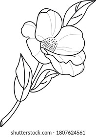 flower art work decorative element 