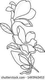 flower art work vector line