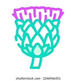 flower artichoke color icon vector. flower artichoke sign. isolated symbol illustration