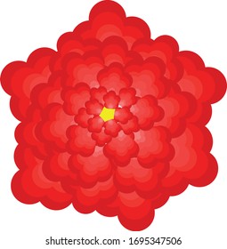 flower arts design vector illustration