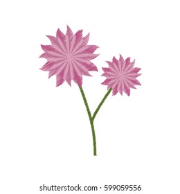 flower aster decoration image sketch vector illustration eps 10