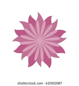 Flower Aster Decoration Image Vector Illustration Stock Vector (Royalty ...