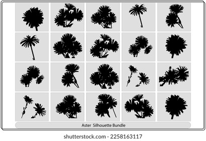 Flower aster silhouette vector bundle collection
