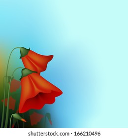 Flower background 