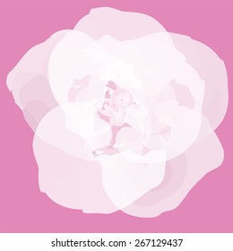 Flower background