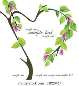 flower background