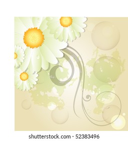 flower background