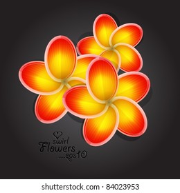 Flower background